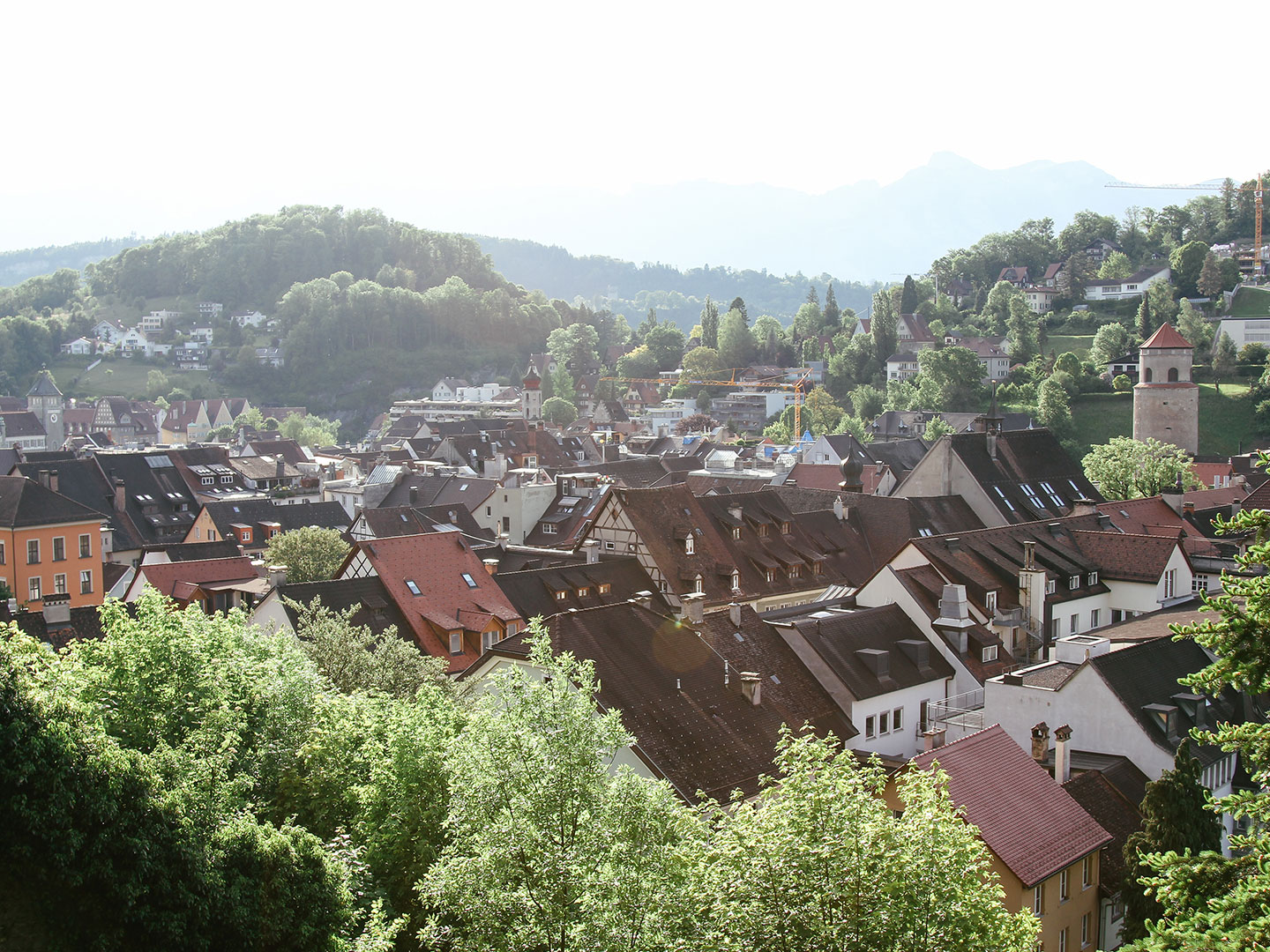 Blick über die Dächer der Feldkircher Altstadt