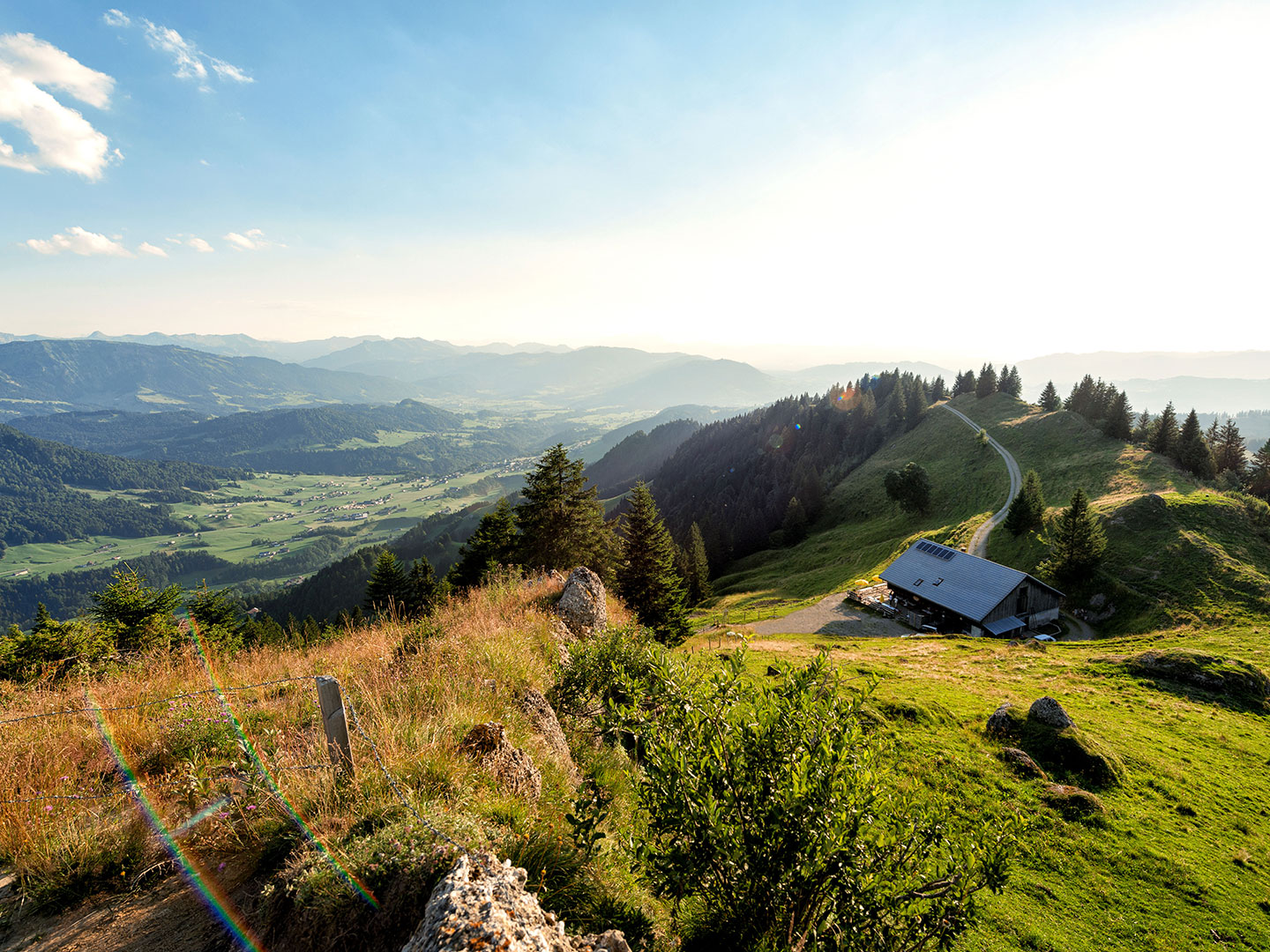 Alpe in Vorarlberg im Sommer